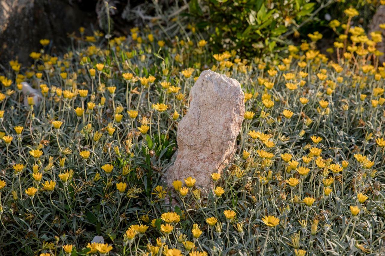 Banjol Villa Bella מראה חיצוני תמונה